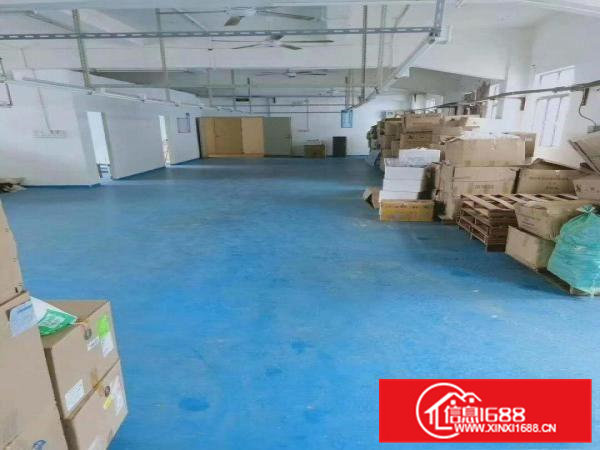 凤岗官井头贸易淘宝电商办公室出租310平方精装修