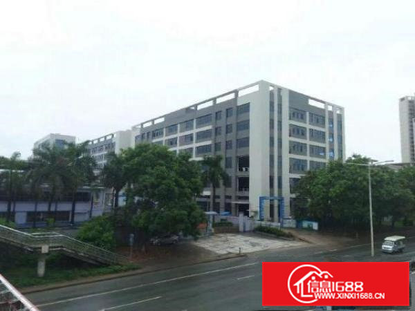 常平镇红本重工业豪华装修厂房1600㎡起租