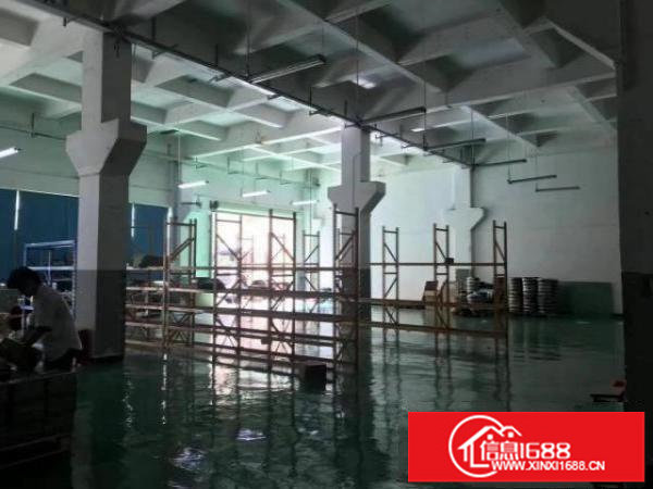 福永新和一楼1000平，精装修厂房，空地大，层高7米