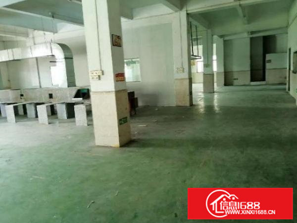 11块2000平方原房东独院标准厂房出租