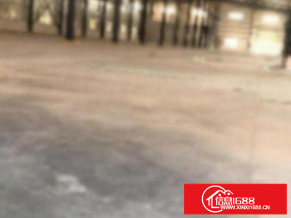 高埗单一层厂房仓库13000平米带卸货平台出租有现成办公室装