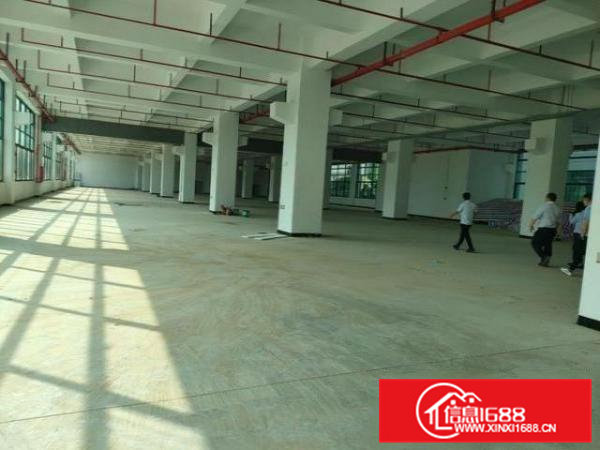 横沥三江工业区旁全新红本厂房招租，承重1.5吨每平方。