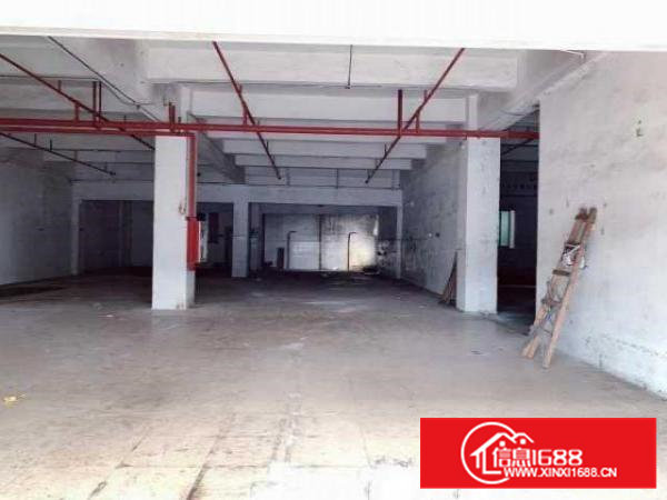 宝安洪浪北地铁口写字楼工业园1楼700方招租