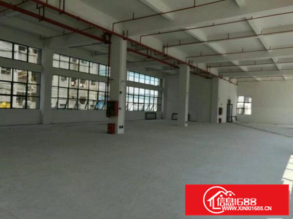 自用厂房分租一楼1200平无公摊水电齐全16块