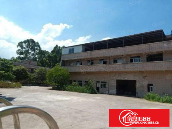 乐平礼义大道边独院10800平方厂房出租，空地大