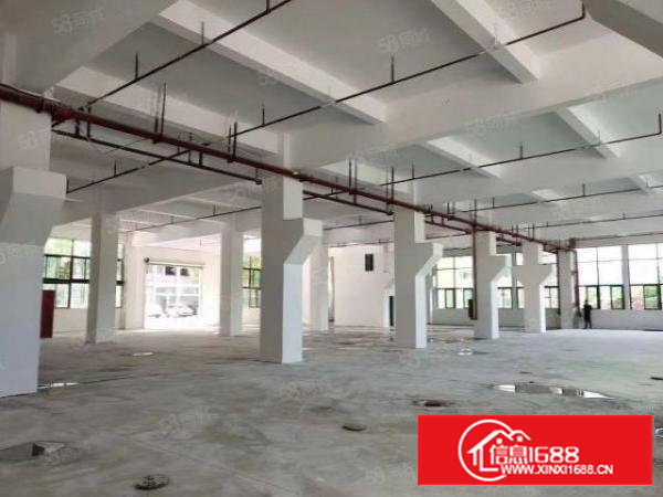 出租，石岩龙大高速口一楼1600平厂房，仓库出租