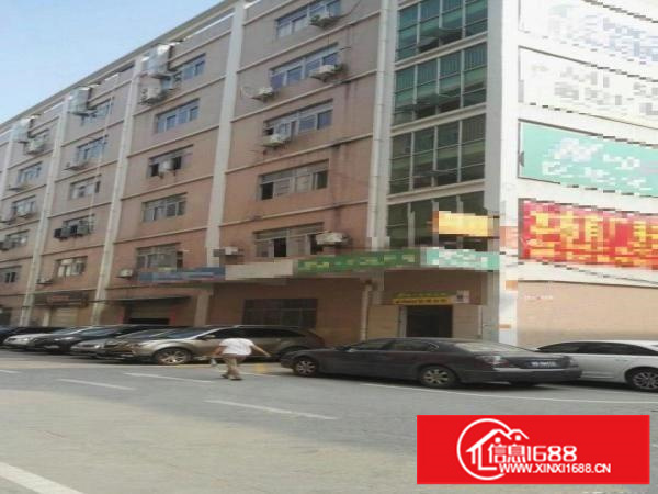 坂田雪象工业区一楼仓库厂房400平米