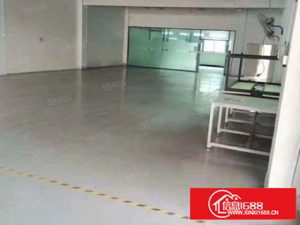 石碣西南新出一加二楼1000平，带装修，低价13元