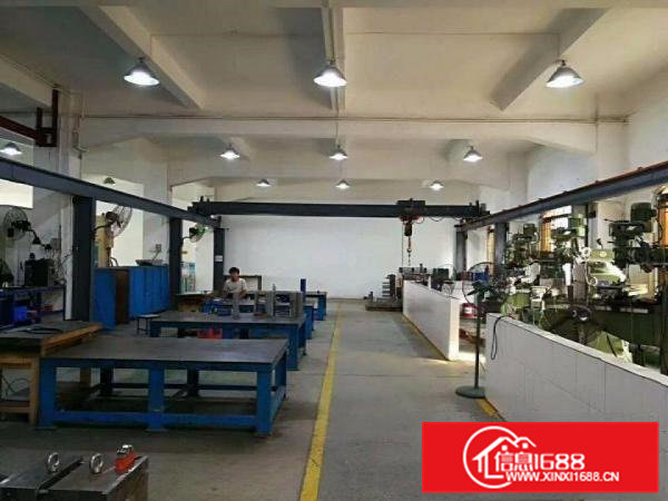 清溪浮岗标准一楼厂房500平方超大空地高度6米