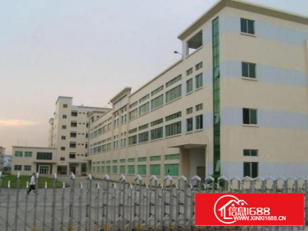 万江新出2楼带地坪漆厂房2000方出租大小可分租