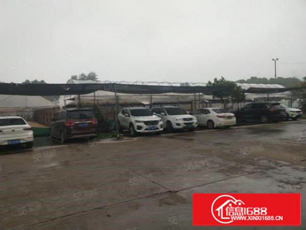 谢岗已硬化水泥2700平方空地出租三通