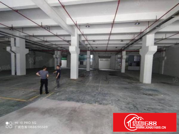 碧湖大道一楼带牛角重工业厂房