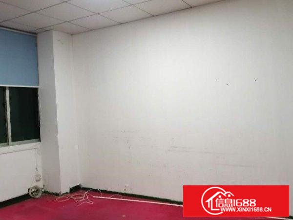 桂月路二楼经典小厂房200平方