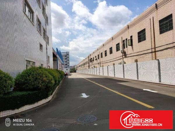 龙岗坪地独院标准厂房钢结构仓库招租