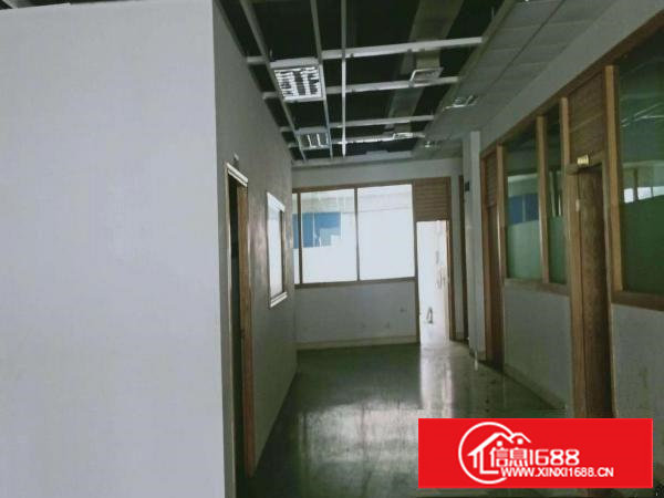 亮盘！上沙工业厂房出租独栋5100平零公摊形象好