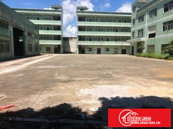 坪山石井路口新出原房东独院9650平方厂房实际面积出租