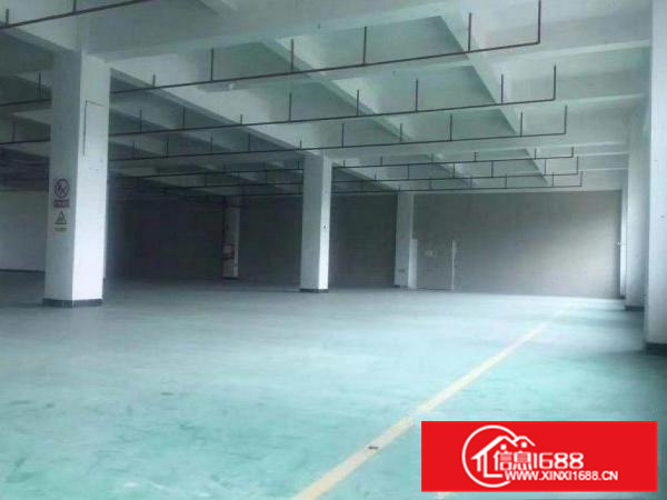 惠阳新墟附近新出一楼810平方招租整租带装修消防喷淋