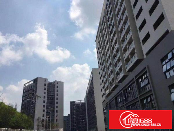 龙岗坪地红本厂房16万平米带装修出租，可分租