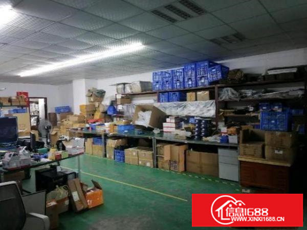 正规工业园区内部厂房，中介勿扰