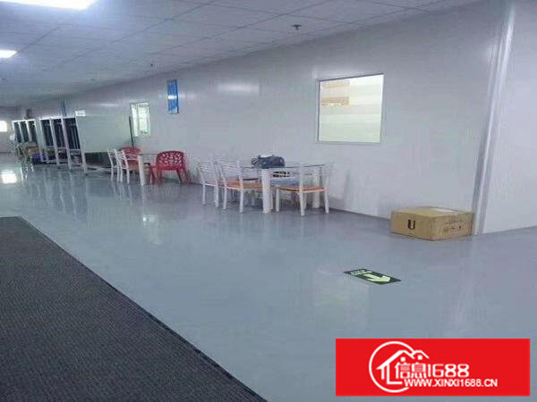 深圳龙岗同乐转租1510平现成无尘车间，带装修