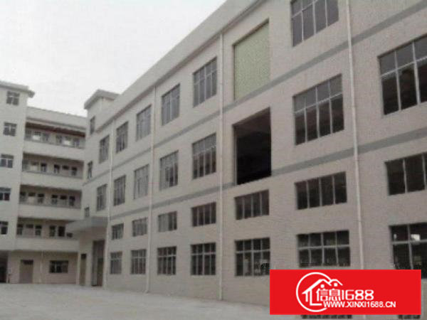 高埗标准一楼厂房800或1000㎡出租水电齐全交通方便