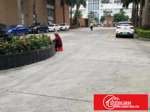 龙华大浪新出楼上带装修厂房2550平方出租