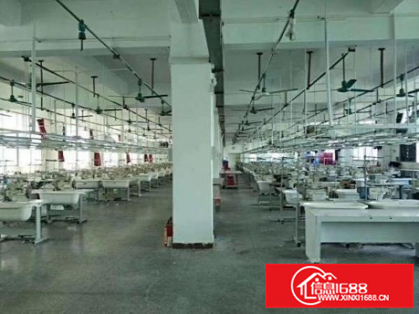 横岗独院整租，自带花园厂房