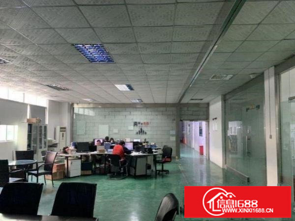 油松精装厂房办公楼500平米