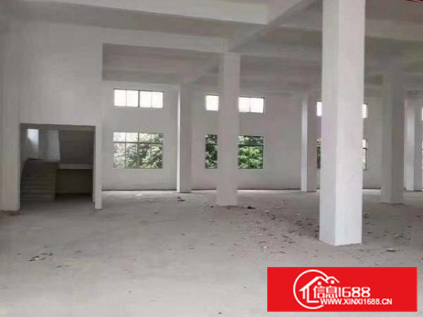 大岭山原房东独门独院厂房1000平方