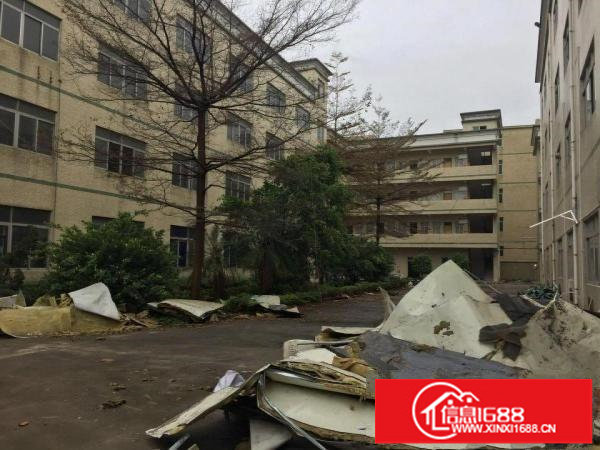 坪山大窝工业区原房东独院四层厂房2400平方米招租