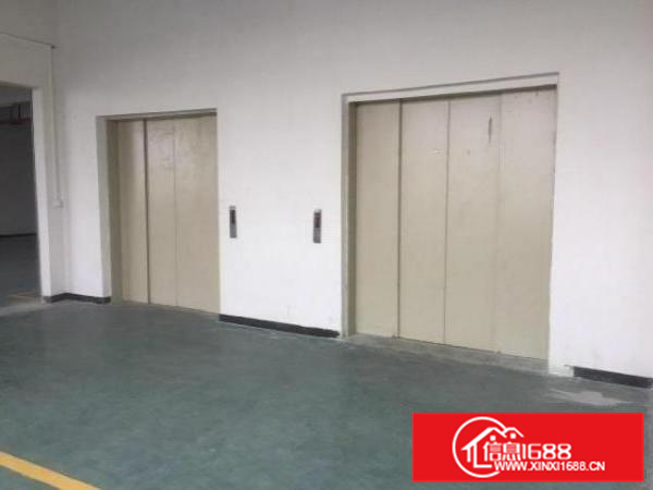 （非中介）佛山南海里水全新标准厂房出租（业主直租）超低价笋！