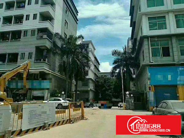 西乡107国道边上有红本厂房A栋1到5层10500