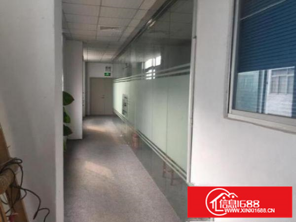 公明玉律楼上950平带装修厂房出租