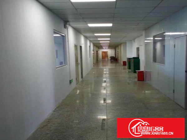 龙岗区五联社区出租