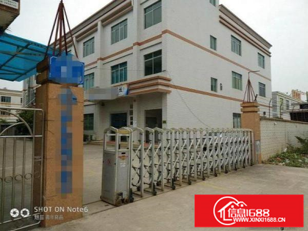 惠阳独门独院标准厂房4800带红本