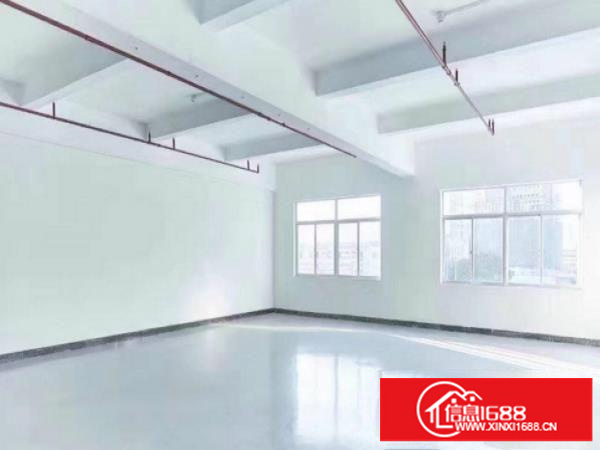 龙东带装修厂房600平出租