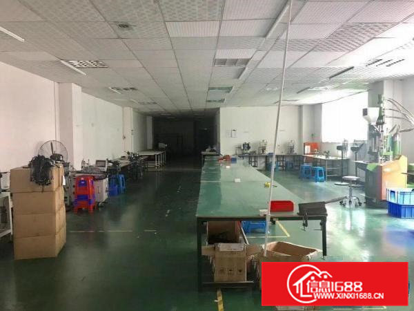 常平塘角鸿远科技园新出精装修厂房楼上460平方出租