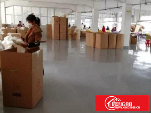 常平元江元标准厂房三楼1500平方出租