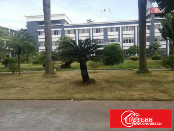 万江豪华工业园多栋厂房1000平方起租