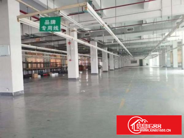 万江标准独门独院厂房12500平方出租，上市公司！