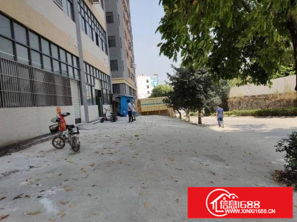 现成隔好的一楼300平方招租