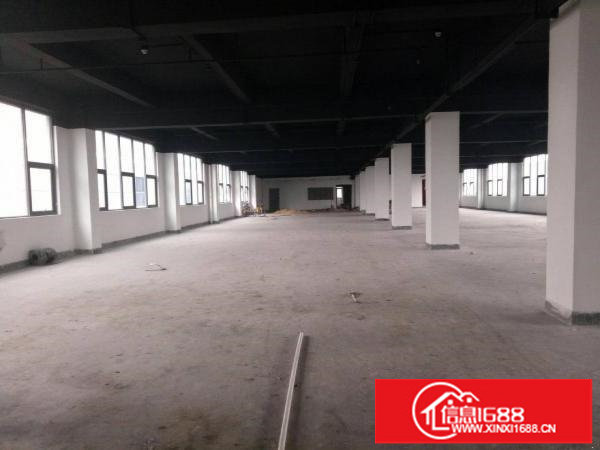 深圳龙岗区平湖新木老村独院一楼厂房招租面积800平