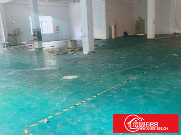 龙岗坂田一楼500平高5米原房東独院红本厂房出租200起租