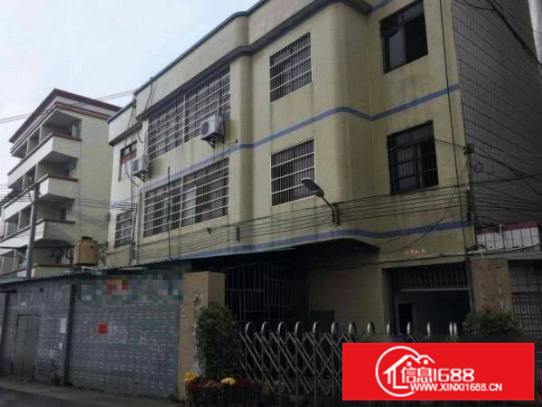 惠阳镇隆独门独院标准厂房三层