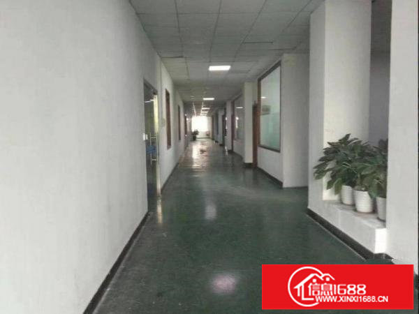 出租龙岗区龙城新出标准厂房二楼700平，带装修，有现成环评喷