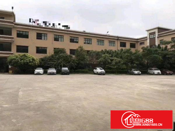 东莞大朗杨涌厂房出租