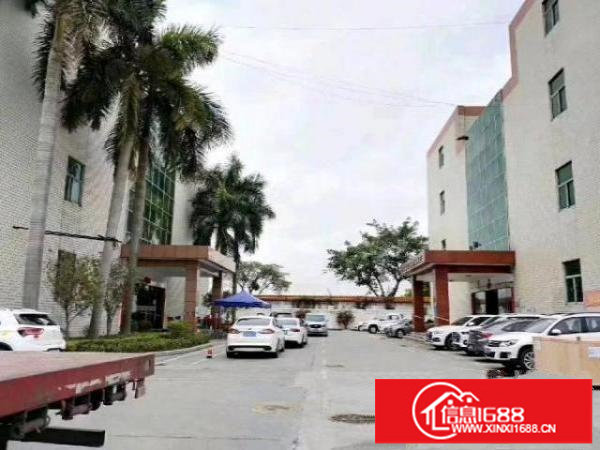 观澜大道红本厂房三楼2800平方