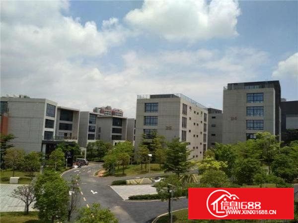 花园式办公楼、带管理、番禺石楼科技园200方出租