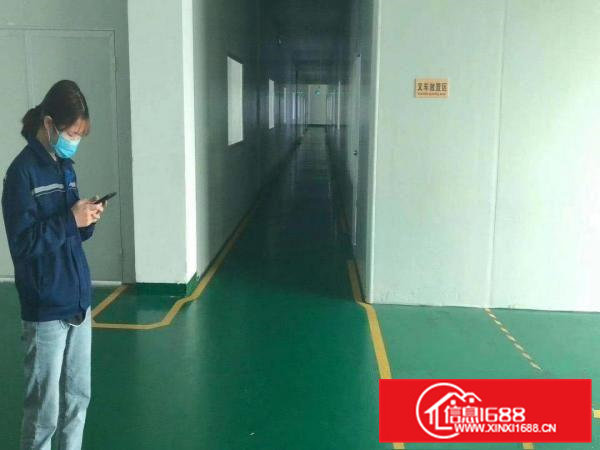 清溪原房东独院厂房3500平方大小可分