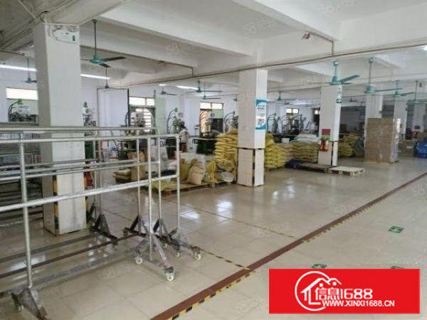 塘厦大坪高速口新出楼上1600平米出租，豪华装修，无转让费